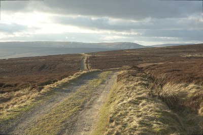 Longside Moor